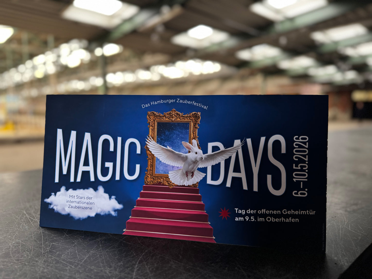 MAGIC DAYS: EINZELTICKET TAG DER OFFENEN GEHEIMTÜR