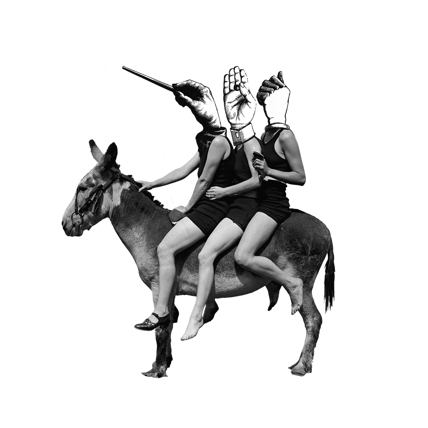 FREUNDE DES FASZINARIUMS